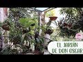 Tour por el jardín de Don Oscar│Candy Bu