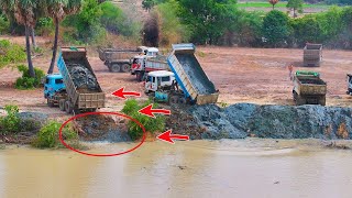 New Project!!! Incredible Many Dump Truck 10Ton Showing Skill Technique Filling Soil In Lake