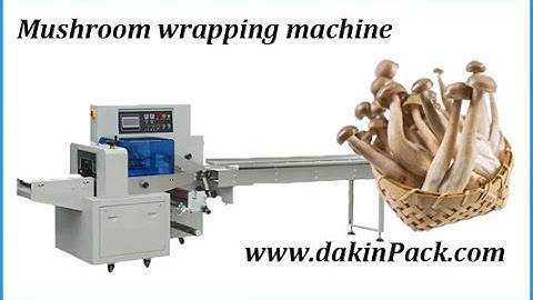 Fresh Cordyceps flower packing machine