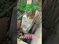 数日だけ厄介になりますよ！