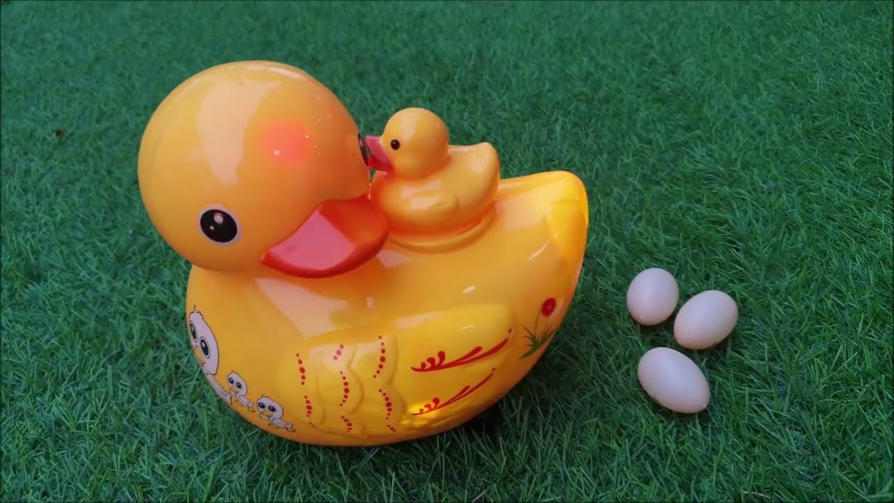 Five Little Ducks เพลงเป็ด 5 ตัว | nursury rhyme | รีวิว เป็ดใส่ถ่านถอยชน ออกไข่ได้ ประกอบเพลง