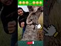 كادت أن تلدغ ذراعه كوبرا ثعبان مختبئ Snake Animals كادت أن تلدغ ذراعه كوبرا ثعبان مختبئ Snake Animals