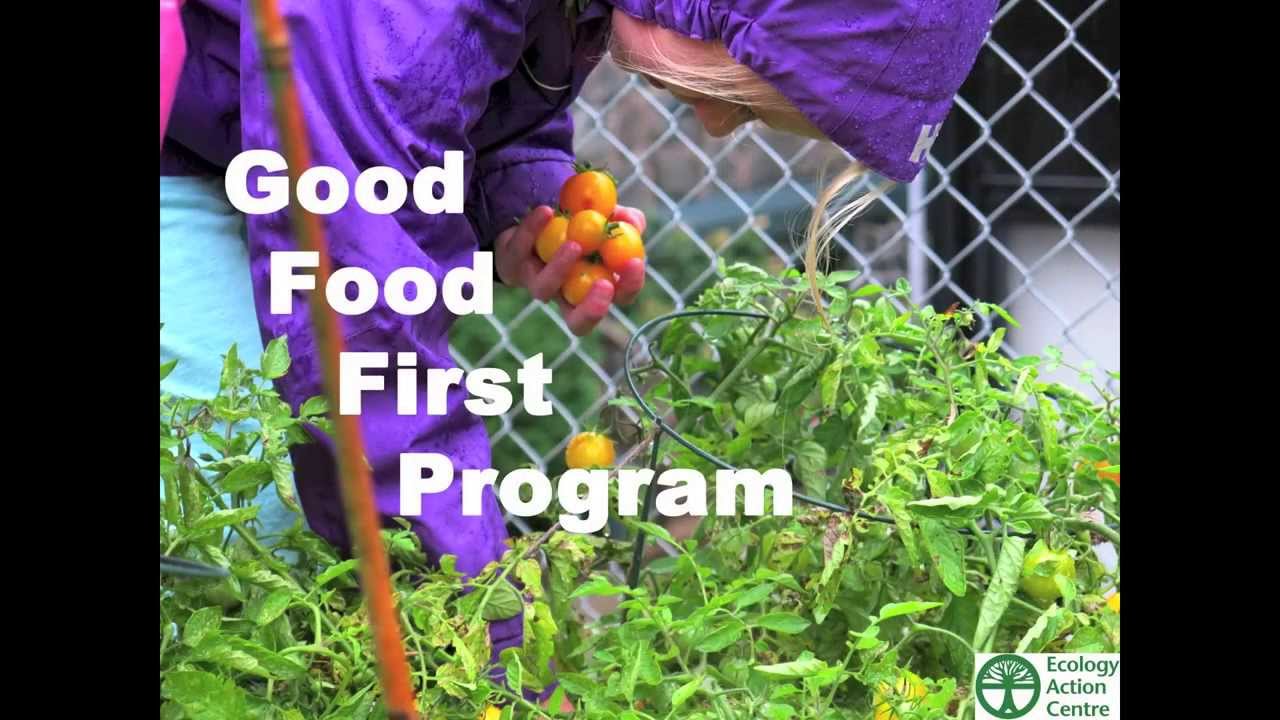 Good Food First- Whole foods