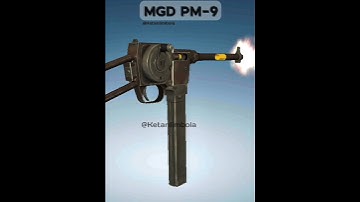 MGD PM-9