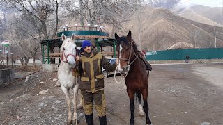 Погода в рашт таджикистан на 10 дней