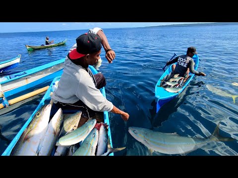 Video: Ikan salmon B altik: ciri gaya hidup dan memancing