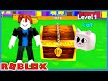 Noob VS Roblox Pet Masters