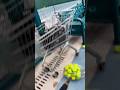 Tennis Ball Whiz Pro*: Collecting Made Easy #smalleyes #fishing #sportsequipment #tennis #baitball
