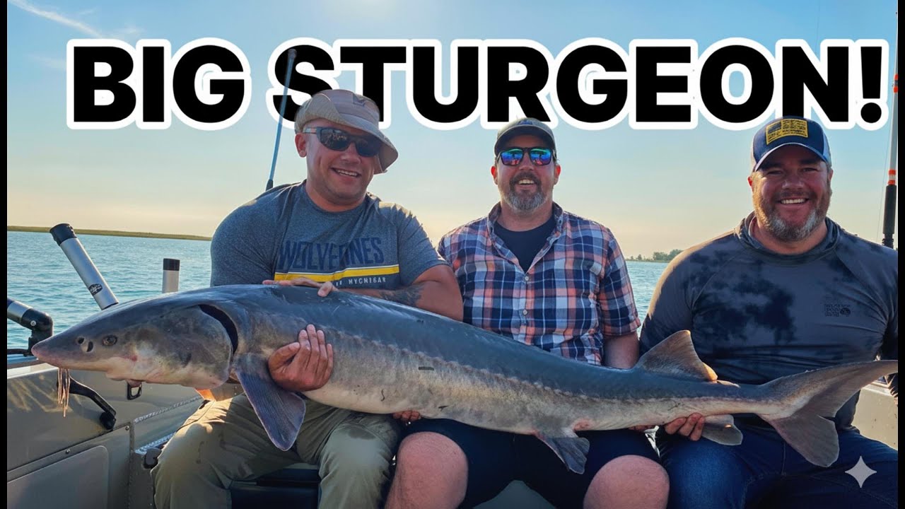 Catching Big Sturgeons! | Saint Clair River