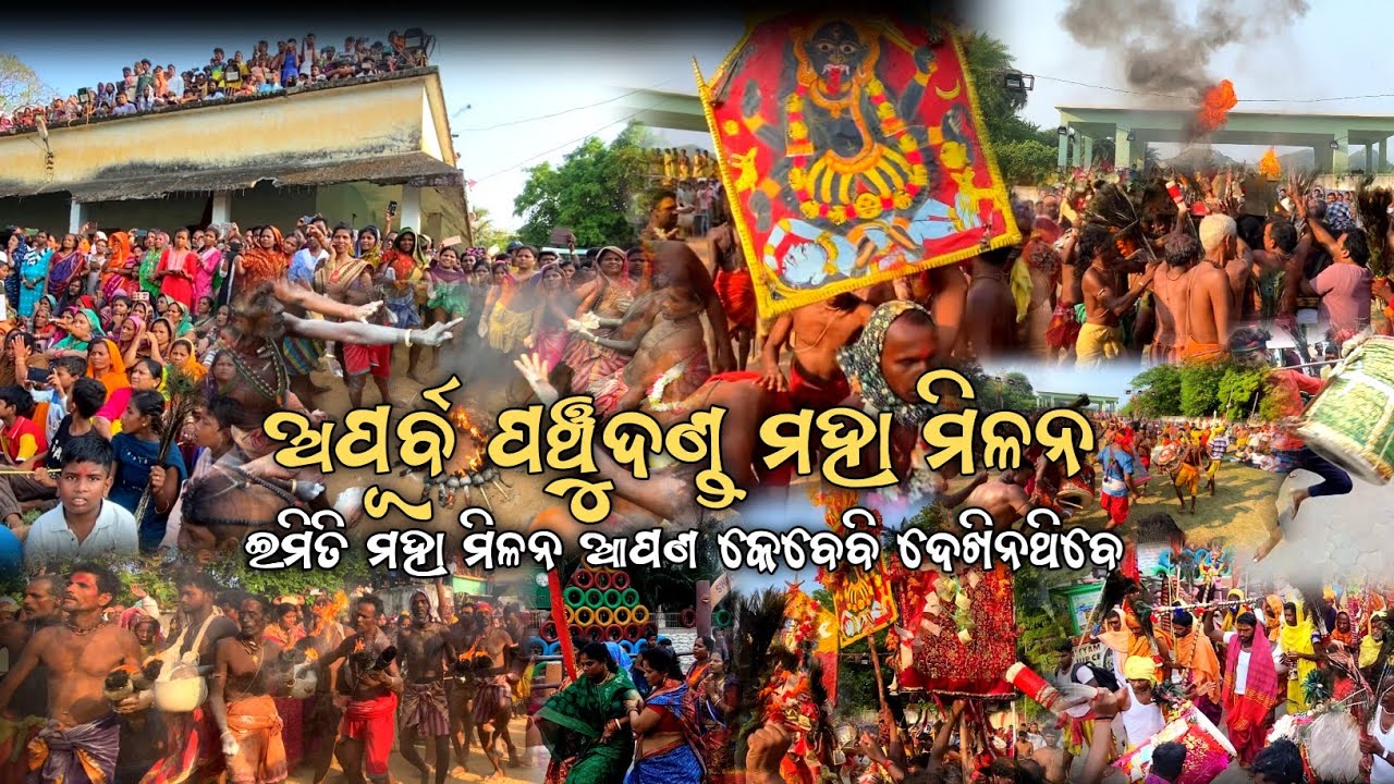 ଆସିକା ପଞ୍ଚୁଦଣ୍ଡ ମହା ମିଳନ 2025 || Panchu Danda 2025 || @lipunyt