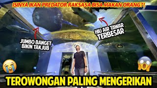 TEROWONGAN IKAN PREDATOR RAKSASA PALING MENGERIKAN! BISA MAKAN ORANG?! DUNIA AIR TAWAR TMII!  #EPS1