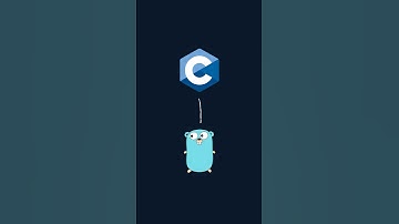 Did you know about this golang feature?