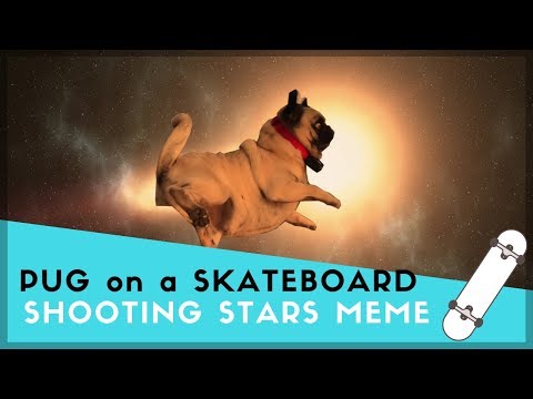 skateboard-pug-//-shooting-stars-meme