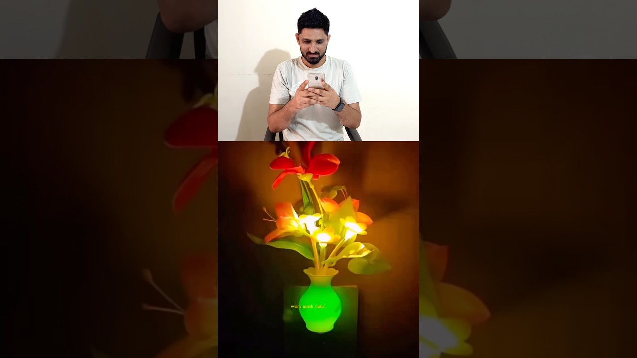 Cheap Mushroom LED Light