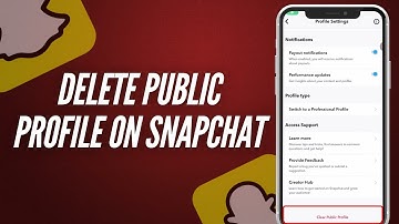 How to Delete Public Profile On Snapchat 2025