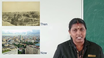 Class 6 Social Science Chapter 11 - Diversity in Social Life