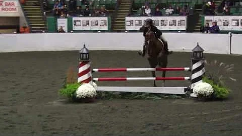 Video of BARDOT ridden by ELISE ALBERTINI from Sho...