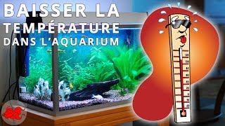 Comment refroidir un aquarium en été par forte chaleur ?