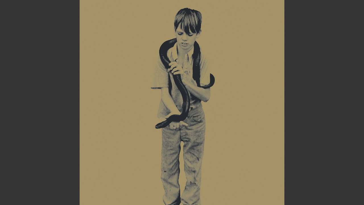 Sometimes I Feel So Lonely