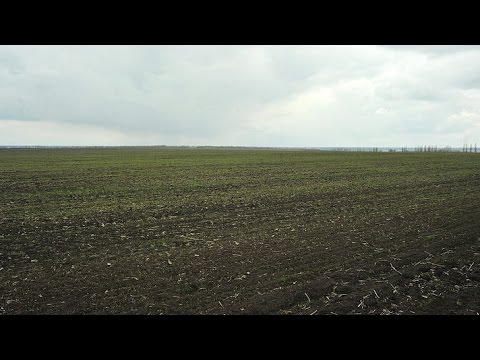 Пресс-конференция: «Продажа украинской земли: необходимая реформа или масштабная афера?»