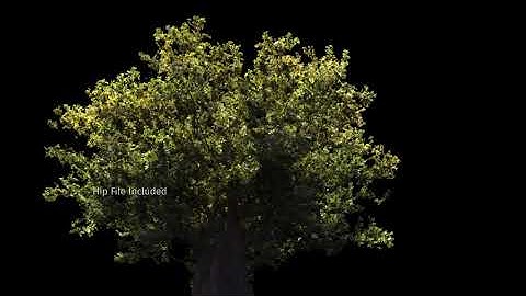 Tree Grow Toolkit for Houdini | GrowInfinite 1.0 Released!