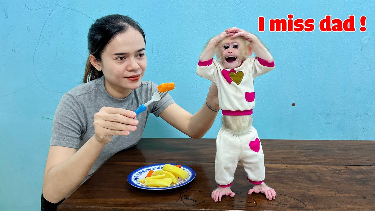 Baby monkey Molly doesn't want to eat without dad.