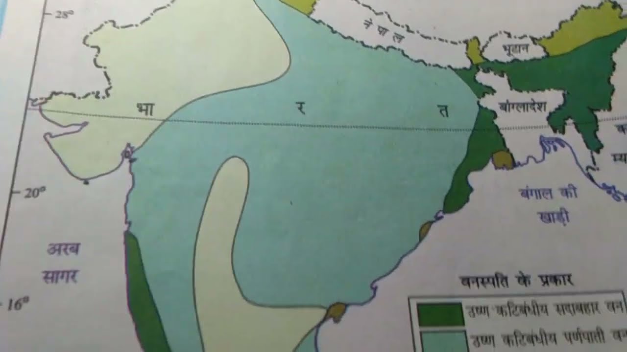 Tropical Evergreen Forest Class 9 Ncert Tropical Evergreen Forest Class 9 Ncert