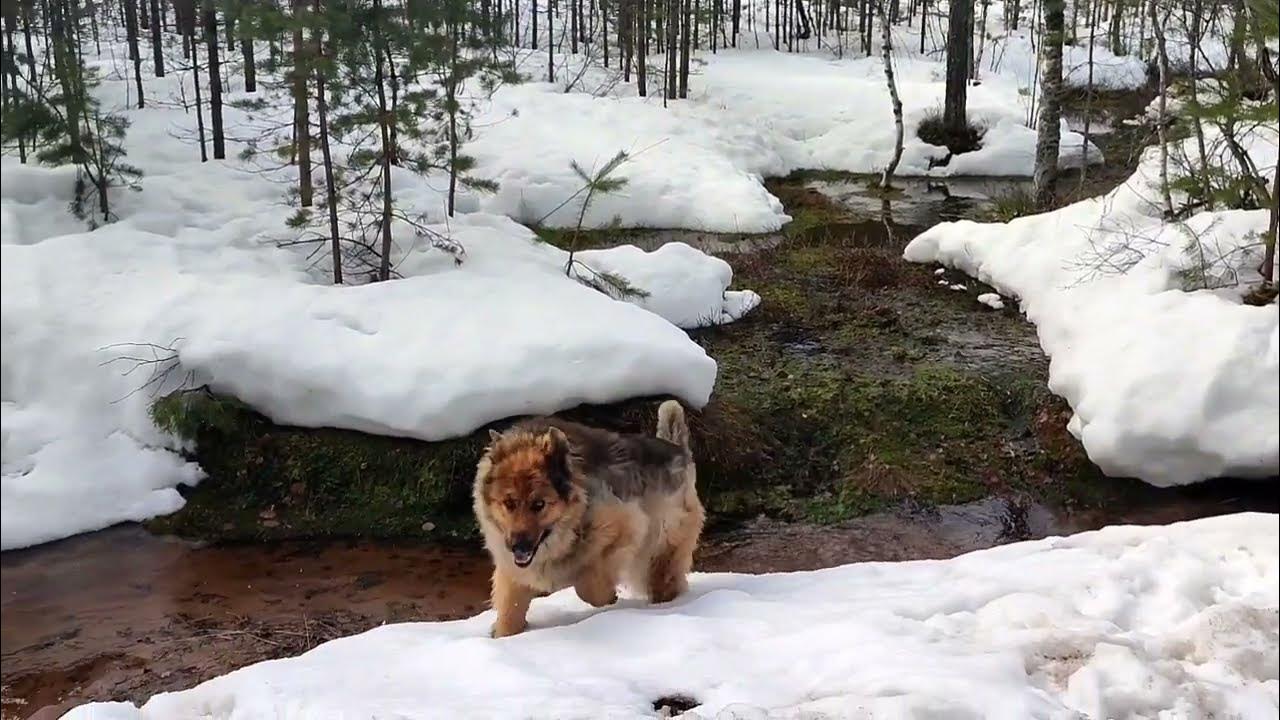 🌝Немного солнца в холодной воде 🌝 - YouTube