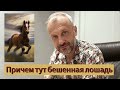 Мысли вслух: из НЕМОЩИ в состояние СИЛЫ