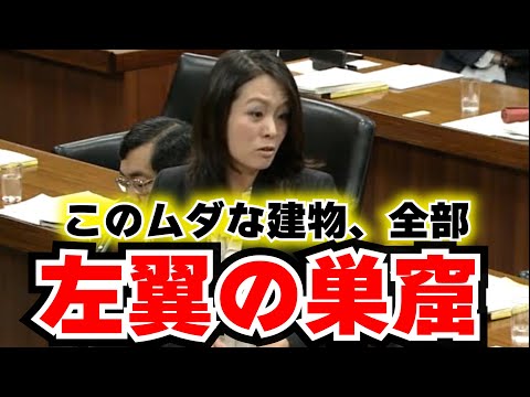 【杉田水脈の戦い】杉田水脈が左翼たちの収入源「男女共同参画」を徹底追求！日本の在るべき國體を守る戦いの軌跡