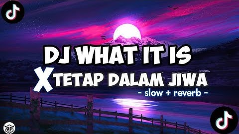 DJ WHAT IT IS X TETAP DALAM JIWA ( SLOW + REVERB )