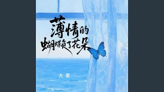 薄情的蝴蝶负了花朵 (大麦版)