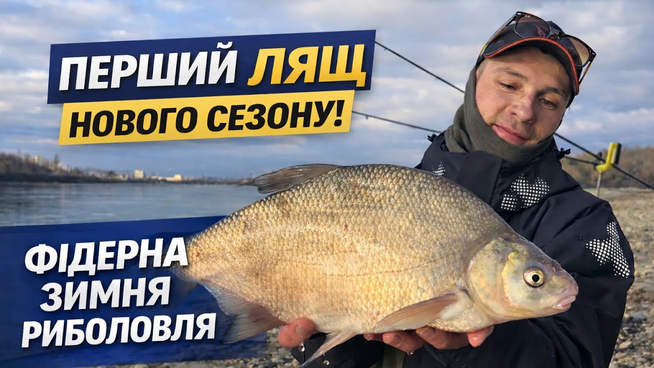 Зимній фідер Дунай | Лящ і панонська плотва біля Будапешта