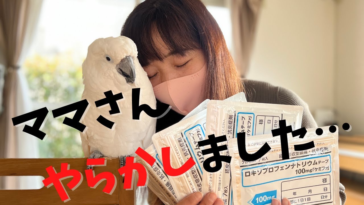 ゆきまる様 【公式ショッピングサイト】