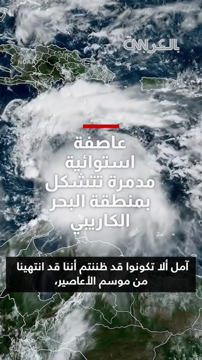   --     ..      
 - نشر قبل 2 ساعة