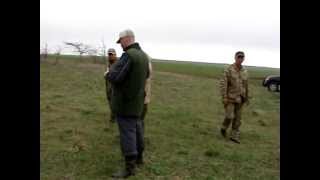Шпарёв Н, дратхаар Бой Черноморск 19-04-2012 Шпарёв Н, дратхаар Бой Черноморск 19-04-2012