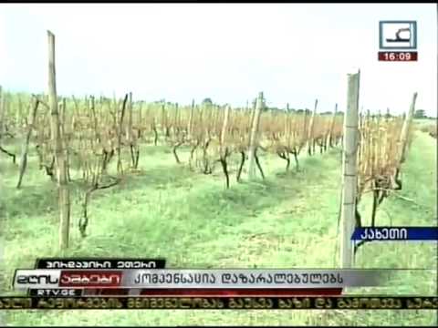 კომპენსაცია დაზარალებულებს