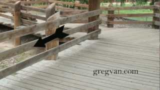 Seating, Guard Rails And Handrailing Problems With Pressure-treated Lumber