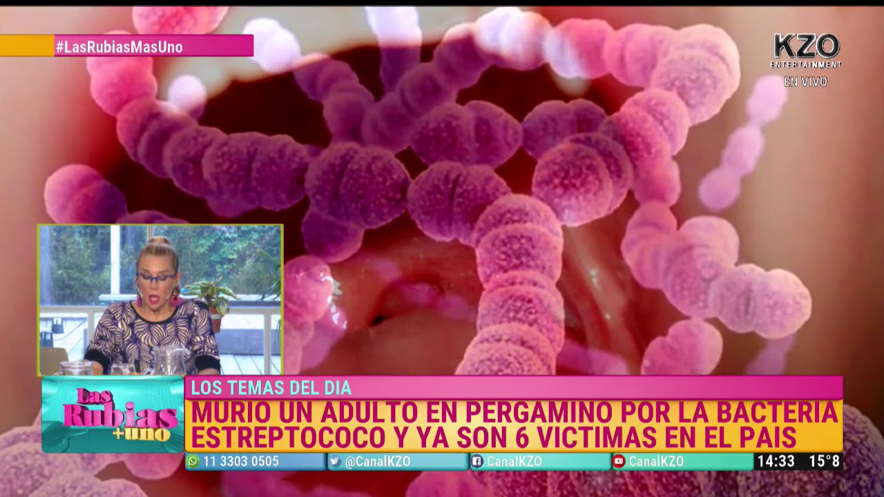 faringitis estreptocócica qué significa faringitis estreptocócica qué significa