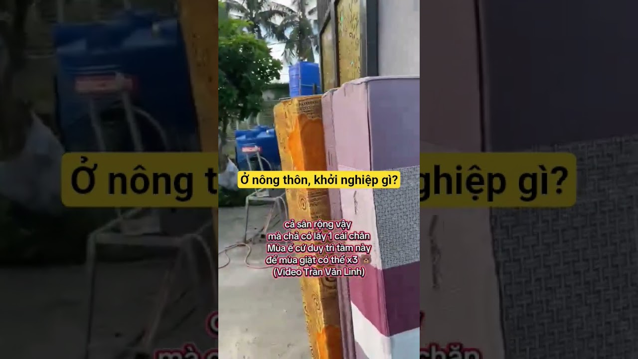 Ở nông thôn, khởi nghiệp gì?