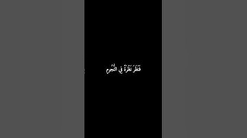 سورة الصافات | فَنَظَرَ نَظْرَةً فِي النُّجُومِ #المنشاوي #قرآن #سورة_الصافات #شاشه_سوداء