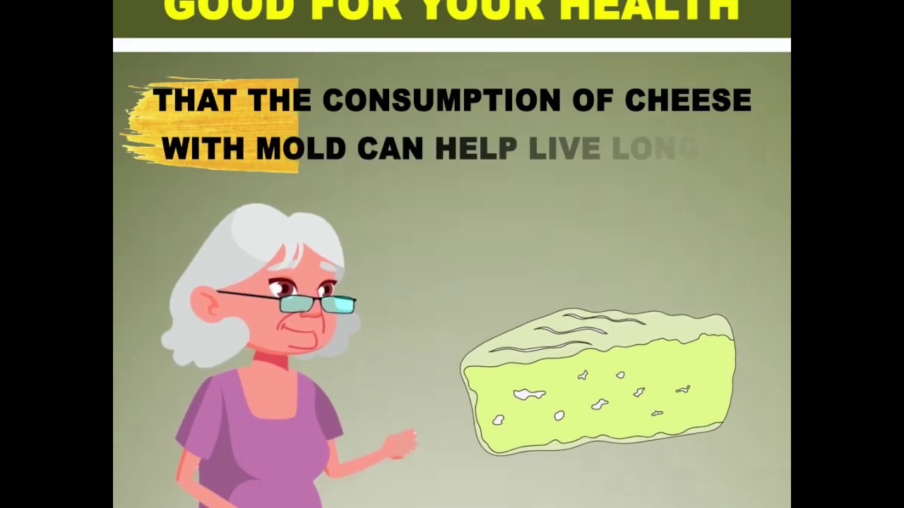 Why Eating Cheese Is Actually Good For Your Health Cheese Benefits