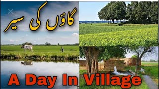 A Day in Village Life | Family Vlog | Fiza Adan & Mom.