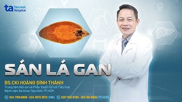 Sán lá gan: Nguyên nhân, triệu chứng và phòng ngừa | BS.CKI Hoàng Đình Thành | THTA
