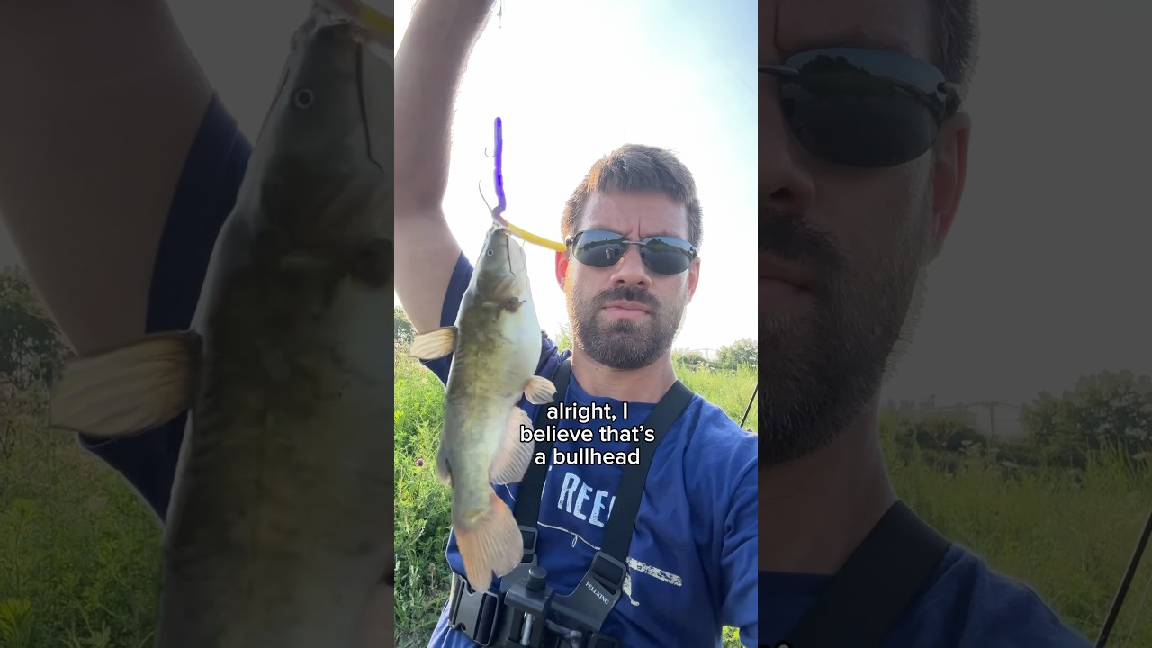 Рыбалка в Биг-Марш, Иллинойс 