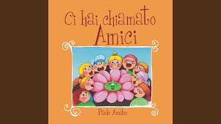 Video thumbnail of "Paolo Amelio - Il mantello"