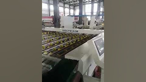 Golive Automatic High Speed Grinding Double Edger Line