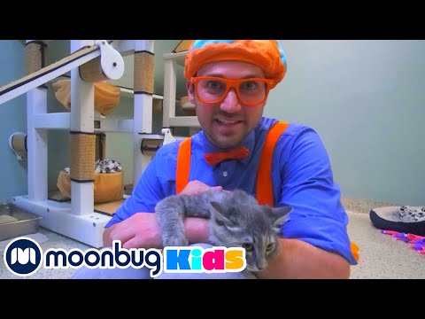 Блиппи В Приюте Для Животных | Moonbug Kids На Русском | Мультики На Русском