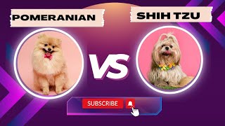 Shih Tzu VS Pomeranian Dog Breed (Hindi)