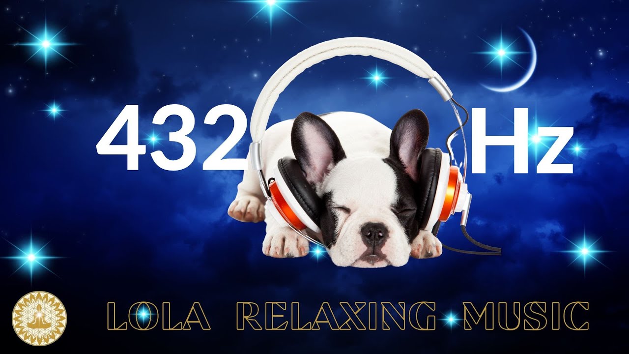 Ask the Doctor: How to Adjust to Changes in Your Sleep Schedule - MSN